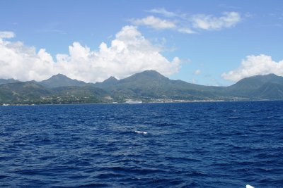 IMG_3551.JPG