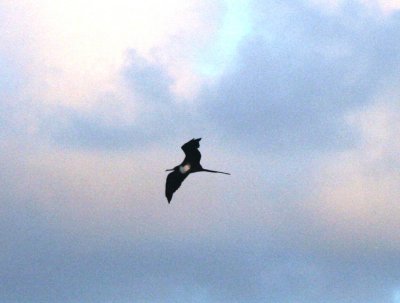 IMG_3837c.JPG