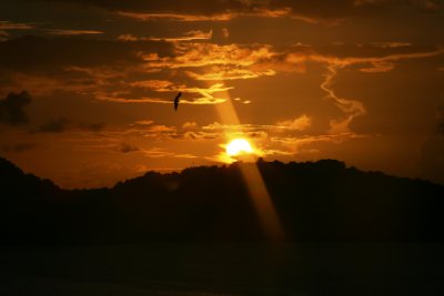 IMG_3850.JPG