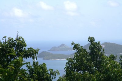 IMG_3653.JPG