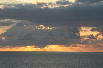 IMG_3565.JPG