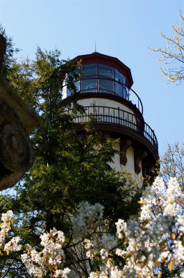 IMG_7710.JPG