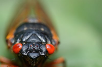 IMG_3683.JPG