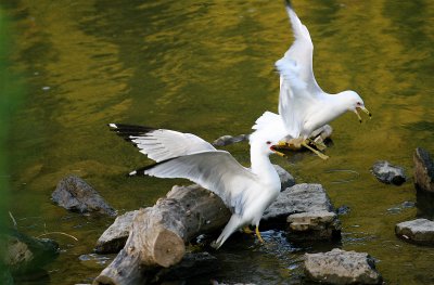 IMG_6299.JPG