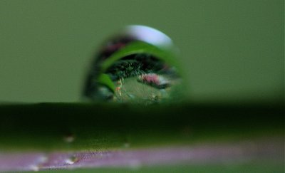 IMG_0499.JPG