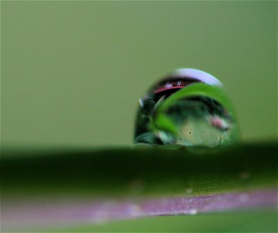 IMG_0507.JPG