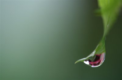 IMG_0556.JPG