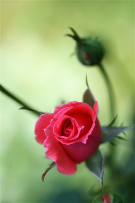 IMG_7550.JPG