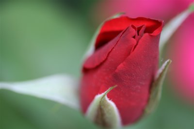 IMG_9182.JPG