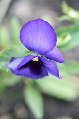 IMG_9184.JPG