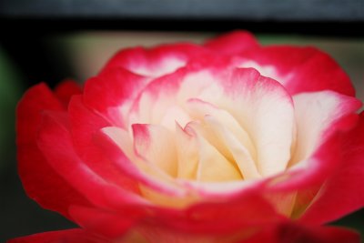 IMG_9190.JPG
