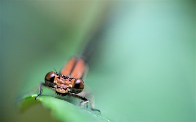 IMG_9622.JPG