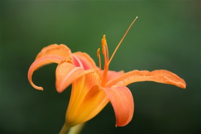 IMG_4004.JPG
