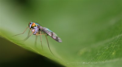 IMG_7078.JPG