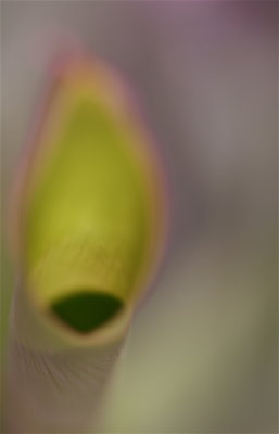 IMG_7196.JPG
