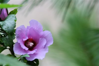IMG_8075.JPG