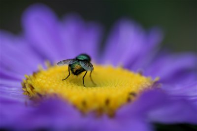 IMG_2574.JPG