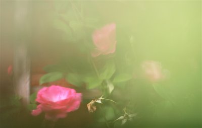 IMG_5028.JPG