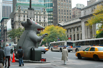 Ratatouille in NYC!!!