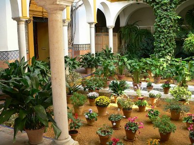 Patio of a private house