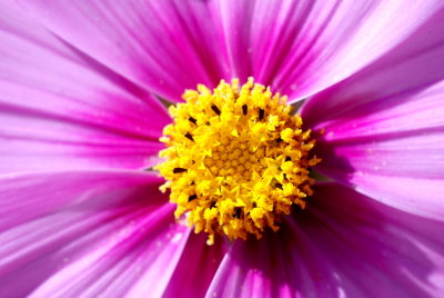 DSC_0045.JPG