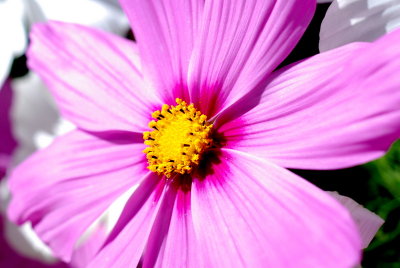 DSC_0047.JPG