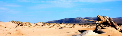 DSC_0135.JPG