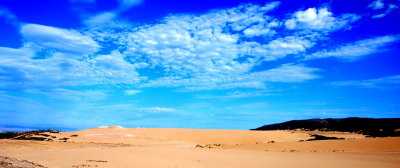 DSC_0190.JPG
