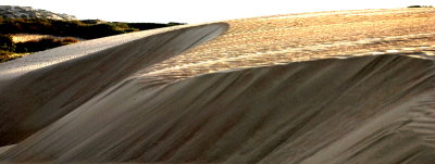 DSC_0263.JPG
