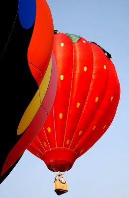 The Great Reno Balloon Race 2007