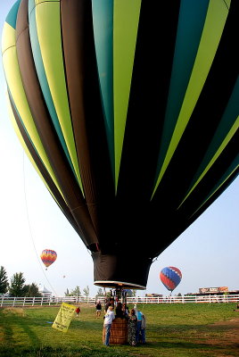 The Great Reno Balloon Race 2007