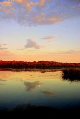 The Oso Flaco Lake , CA (2007)