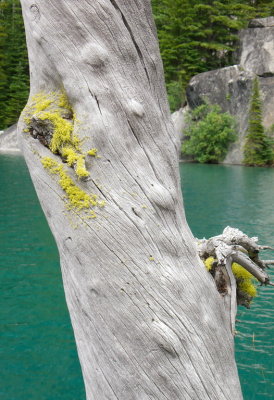 P1000262a.jpg