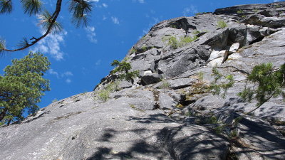 P1000079.jpg