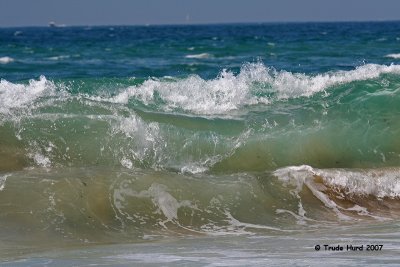 everywhere a wave, wave,