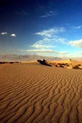 Death Valley Sand Dunes 663