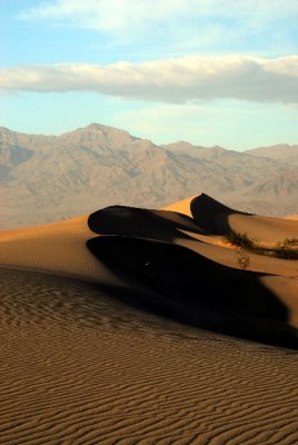 Death Valley Sand Dunes 0658