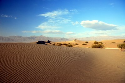 Death Valley Sand Dunes 0654
