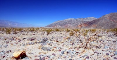 Death Valley 0240