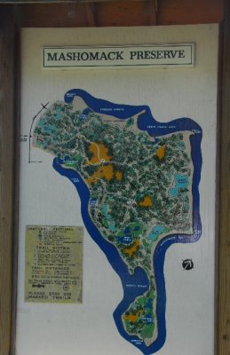 Mashomack 0364.jpg