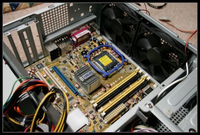 Mobo In
