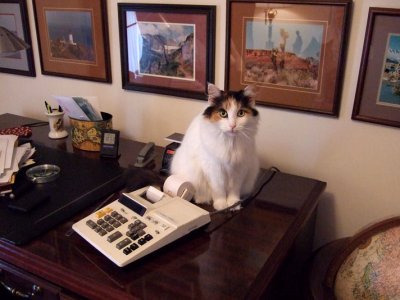 The Office Assistant