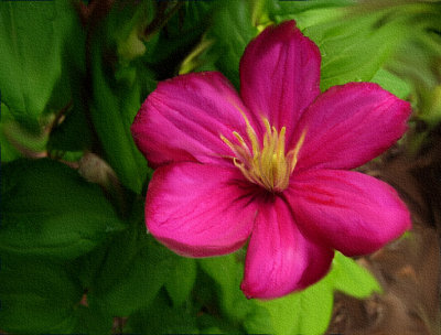 Clematis with Pixarra Twisted Brush