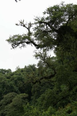 Caliligua National Park