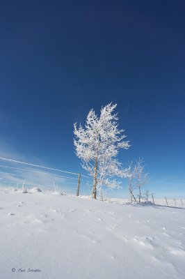 Winter Blue Sky