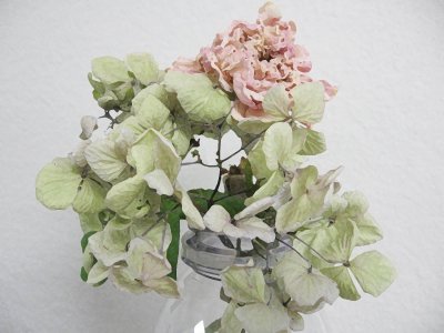 Dried SDLM & Hydrangea