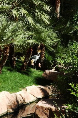 On the grounds of the Flamingo
