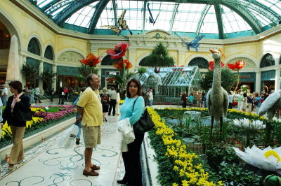 The Bellagio