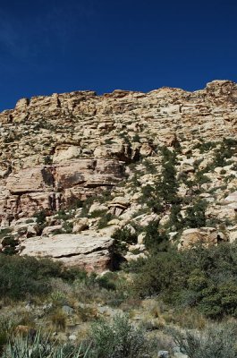 Red Rocks Canyon