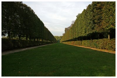 Versailles Fairway